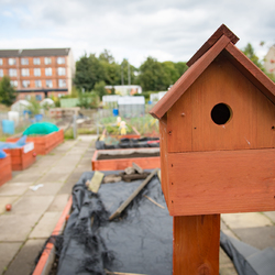 Community allotment closed until further notice