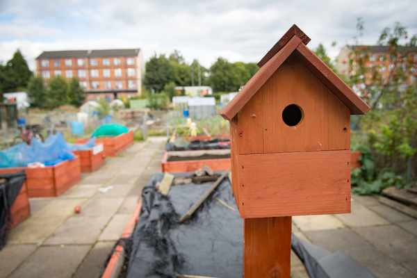Community allotment closed until further notice